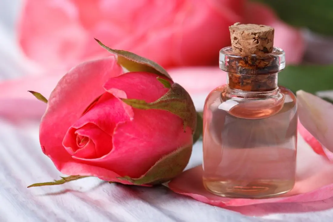 Benefits of Rose Water in Hindi