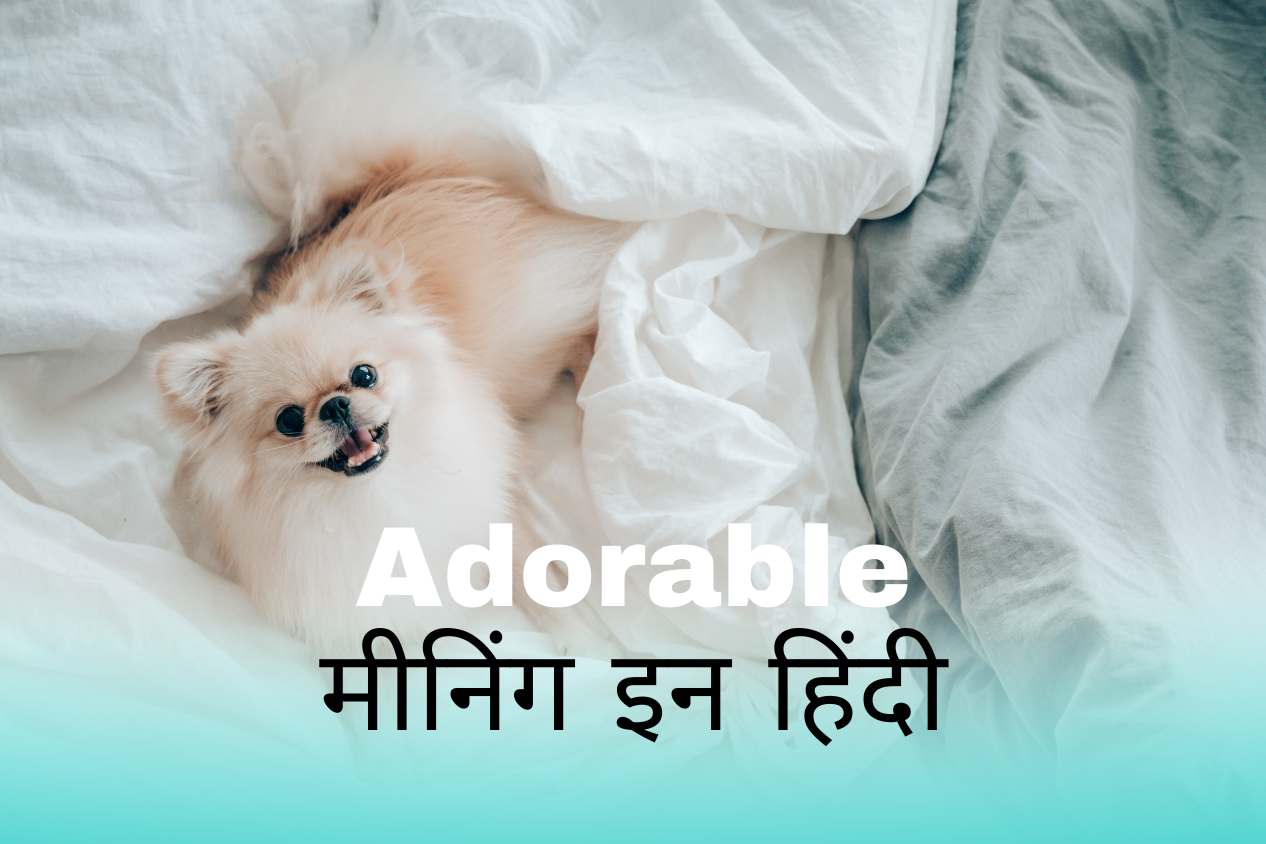 Adorable Meaning In Hindi | Adorable मीनिंग इन हिंदी