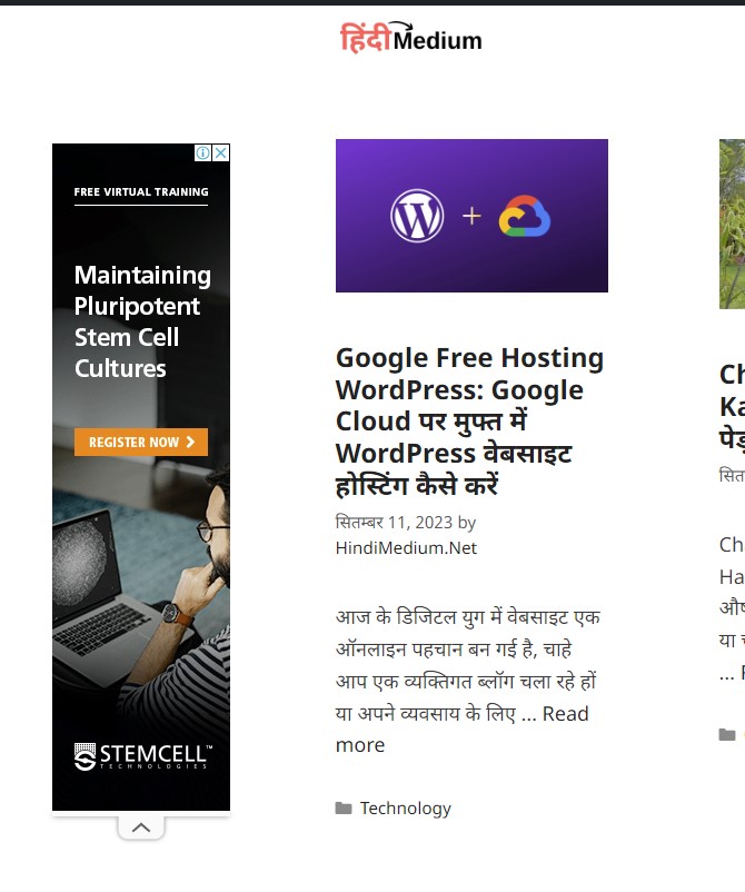 Search Engine Marketing In Hindi - Display Ads